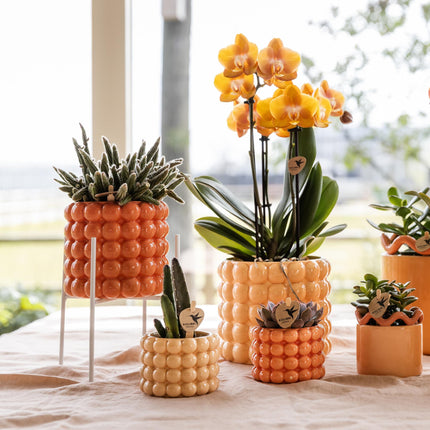 Hummingbird Home | Pflanzenständer – Weißer Metall-Pflanzenständer Ø12cm