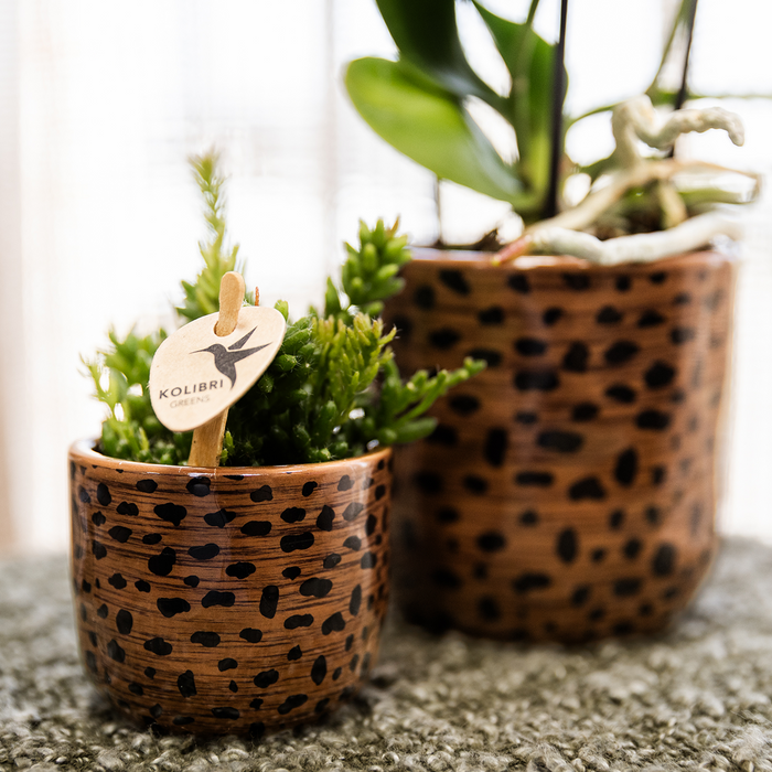 Kolibri Home | Leopard sierpot - Ø6cm