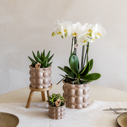 Kolibri Home | Doniczka dekoracyjna z bawełny - Piasek - Ø9 cm