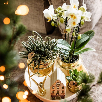 Kolibri Home | Organisch dienblad - Off-white