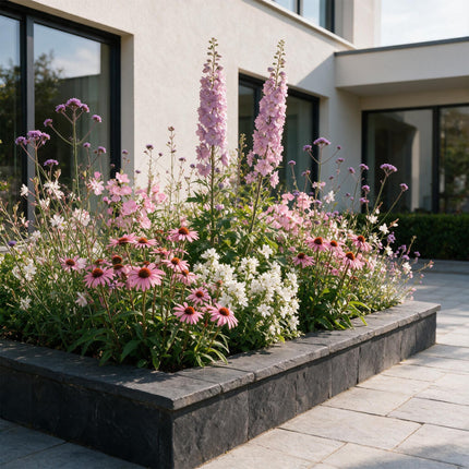 Borderpakket - Bijen en vlinderlokkend - Diversen - Soorten en kleuren - 12 Planten - Pot 11cm - Hoogte 15-25cm