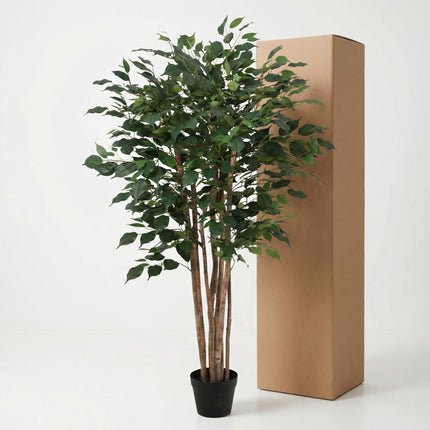Artificial Ficus Benjamina plant - ↕150cm