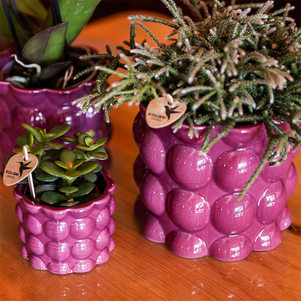 Kolibri Home | Cotton Shine decorative pot - Purple - Ø6cm