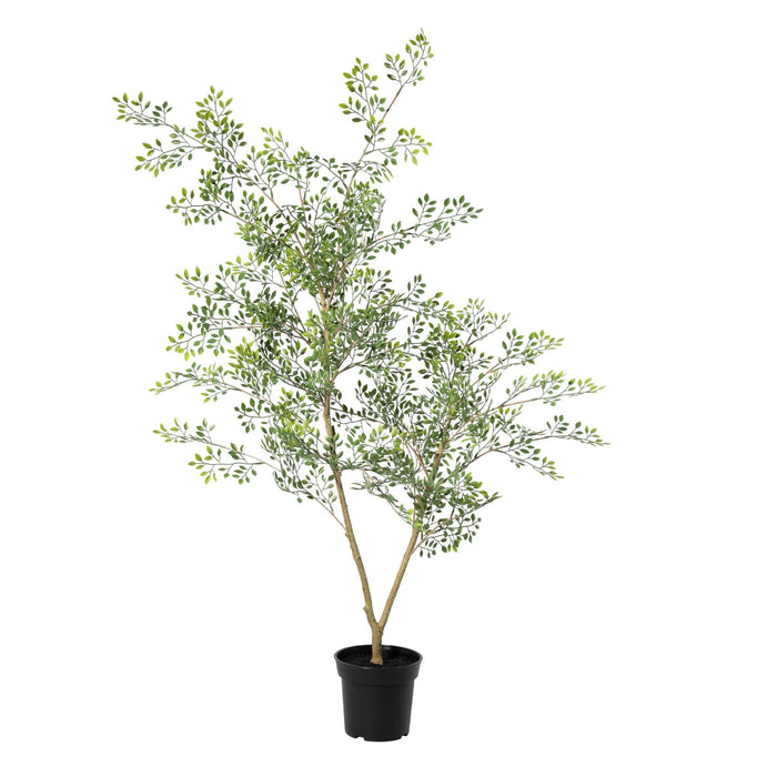 Kunstplant Bucida - ↕70cm