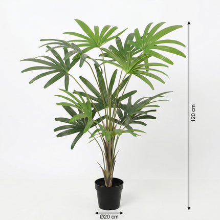 Sztuczna roślina Rhapis Excelsa - ↕120cm