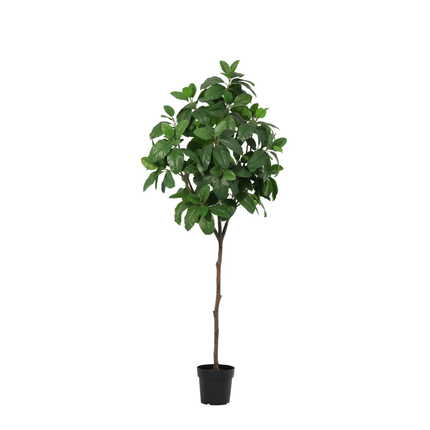 Artificial plant Magnolia - ↕190cm