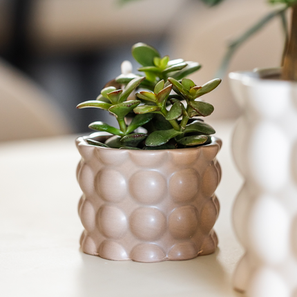 Kolibri Home | Doniczka dekoracyjna z bawełny - Piasek - Ø6 cm