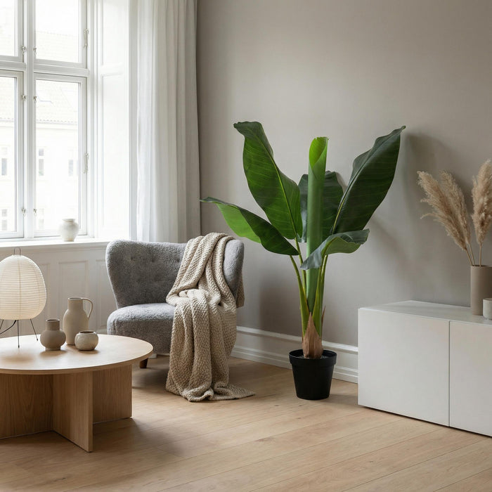 Kunstplant Bananenplant Musa - ↕80cm