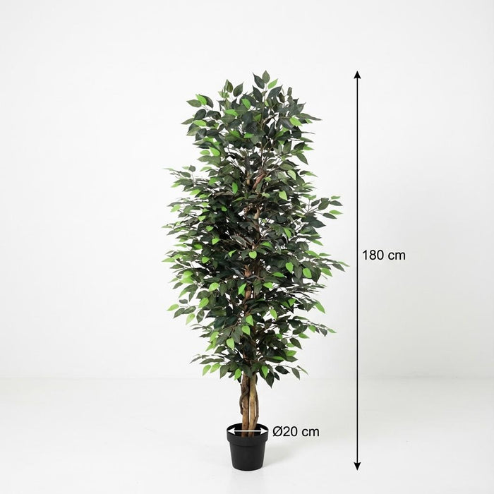 Kunstplant Ficus Benjamina - ↕180cm
