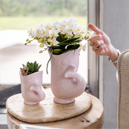 Ensemble d'orchidée Nazaré blanche et de succulente dans un pot décoratif en forme de poisson rose - Ø9cm et Ø6cm