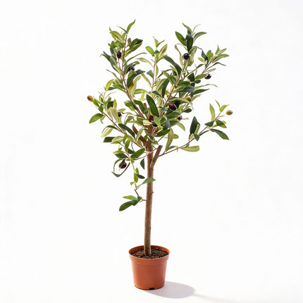 Sztuczne drzewko oliwne w doniczce - ↕65 cm