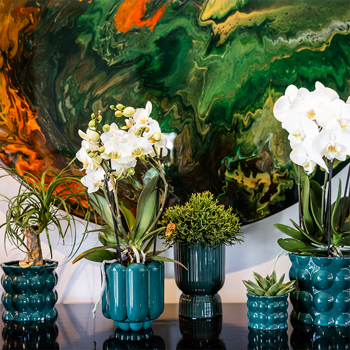 Kolibri Home | Cotton Shine sierpot - Green - Ø9cm