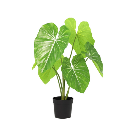 Sztuczna roślina Filodendron - ↕100cm