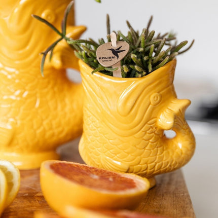 Kolibri Home | Fish sierpot - Geeloranje - Ø6cm