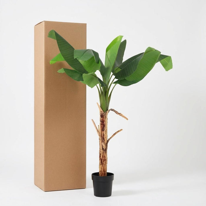 Kunstplant Bananenplant Musa - ↕150cm
