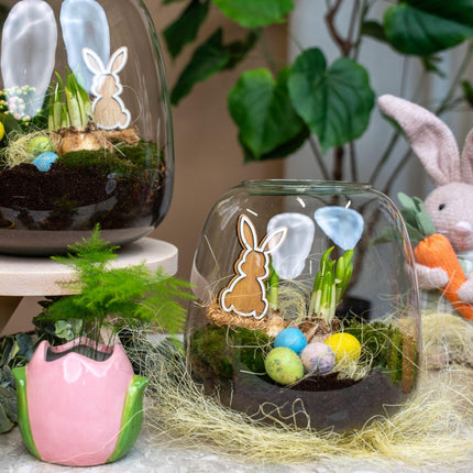 Emma Mini Pasqua - Terrario aperto - Kit fai da te per giardino in bottiglia - ↕20cm - Ø19cm