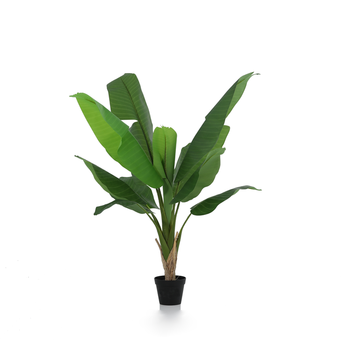 Plante artificielle Bananier Musa - ↕120cm