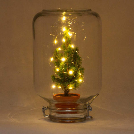 Easyplant - Christmas - Kerst decoratie  - ↕28cm - Kerstboom in fles