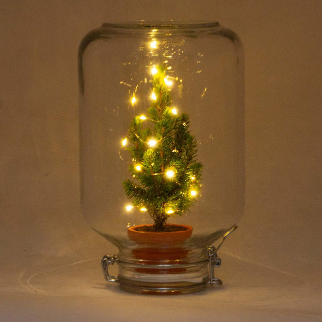 Easyplant - Christmas - Kerst decoratie  - ↕28cm - Kerstboom in fles