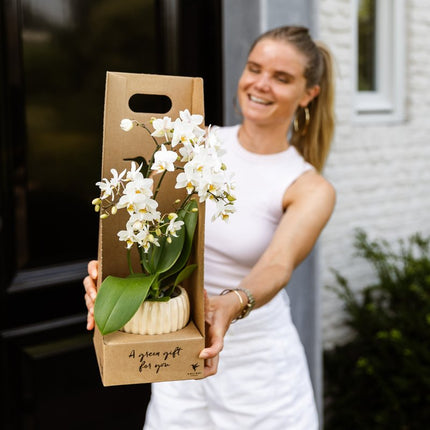 Kolibri Orchids | Roze Antwerp orchidee cadeauset - incl. giftbox, orchidee & sierpot - Ø9cm