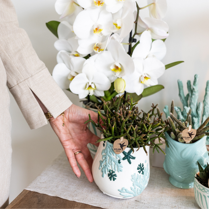 Kolibri Home | Coral Plantenpot - Blue - Ø9cm