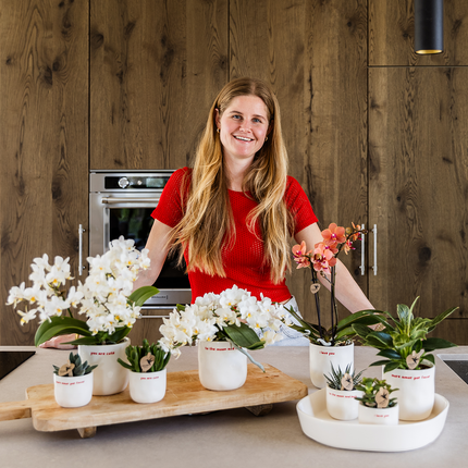 Kolibri Orchids | Coffret cadeau "Love you" | Orchidée Phalaenopsis rouge Congo et plante verte dans des pots décoratifs love sur plateau Cloud