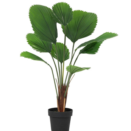 Artificial plant Licuala Grandis - ↕100cm