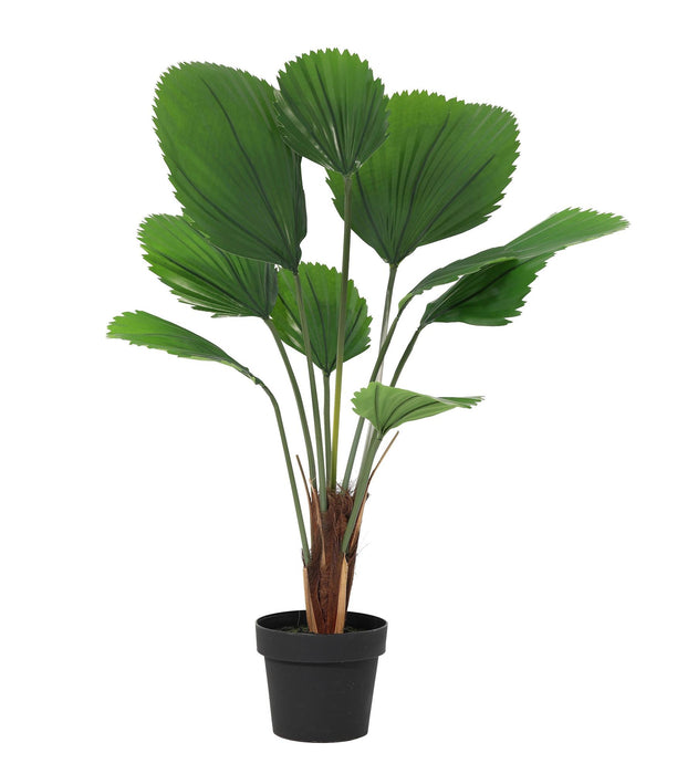 Kunstplant Licuala Grandis - ↕100cm