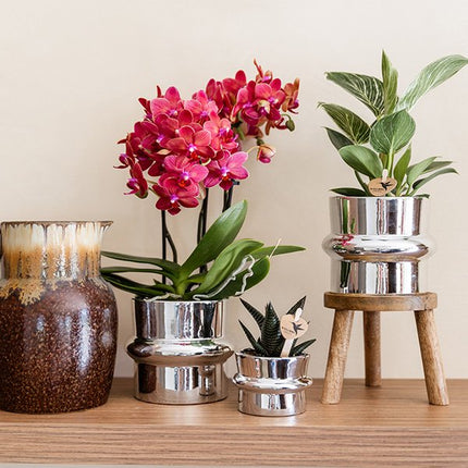Kolibri Home | Chrome sierpot - Ø9cm