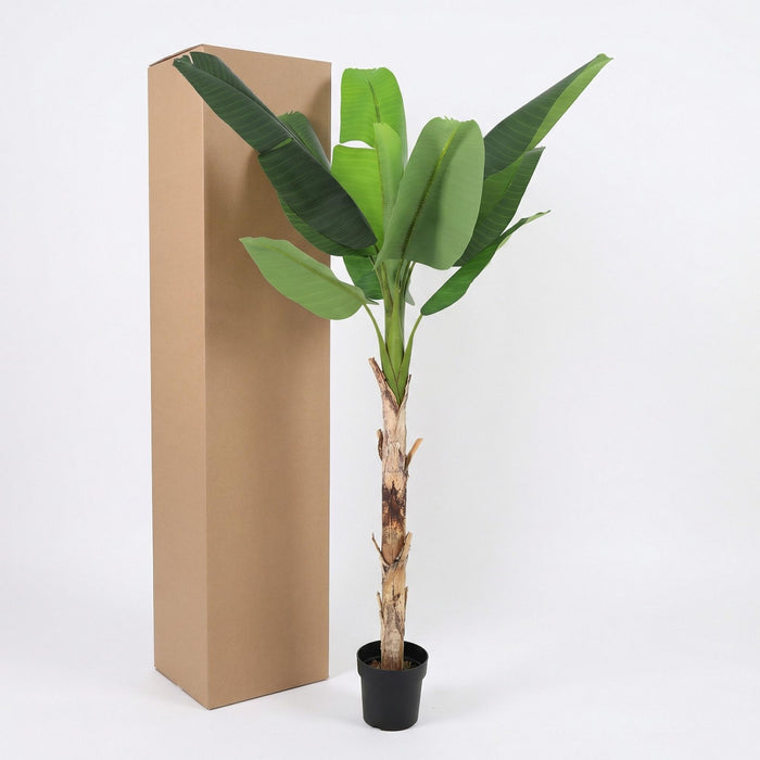 Kunstplant Bananenplant Musa - ↕190cm