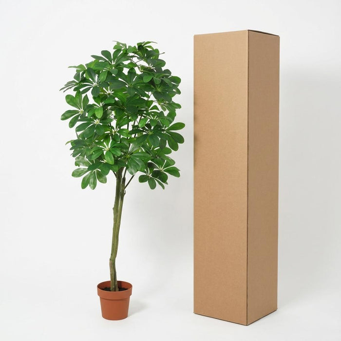 Kunstplant Pachira Aquatica - ↕150cm