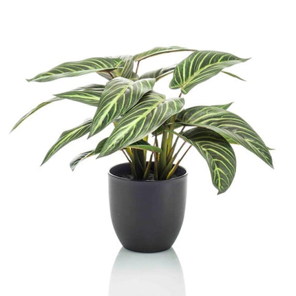 Artificial plant Calathea Zebrina - in black pot - ↕42cm
