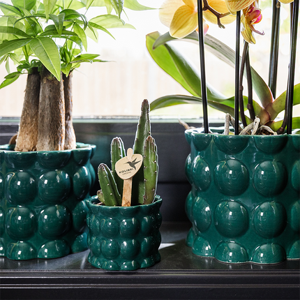 Kolibri Home | Cotton Shine decorative pot - Green - Ø6cm