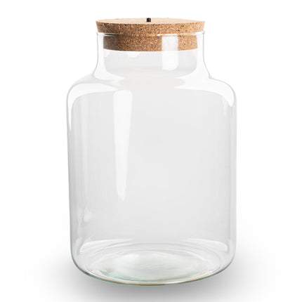 Bottiglia terrario con tappo di sughero - Little Milky con tappo a LED - Terrario grande chiuso ↑ 24,5 cm