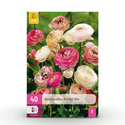Flower Bulbs - Ranunculus Pastel Mix - Various Colors - 40 pieces - Bulb Size 5/6 - XXL Pack