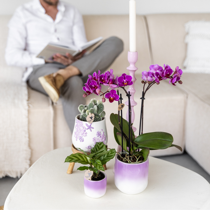 Kolibri Home | Coral Plantenpot  - Lilac - Ø9cm