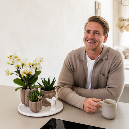 Gift Set Slow Living | Groene planten met witte Phalaenopsis orchidee Lausanne in keramieken sierpotten beige op wit dienblad