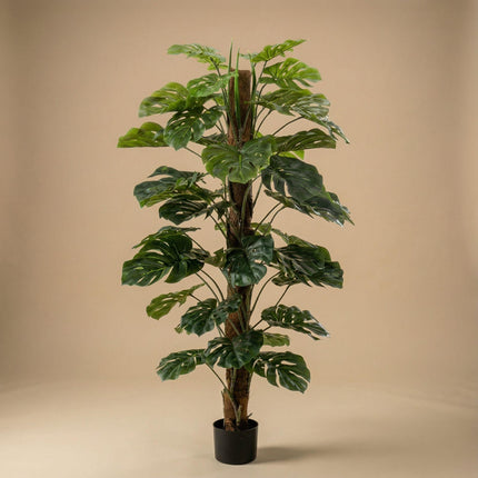 Sztuczna roślina Monstera na patyku - ↕150 cm