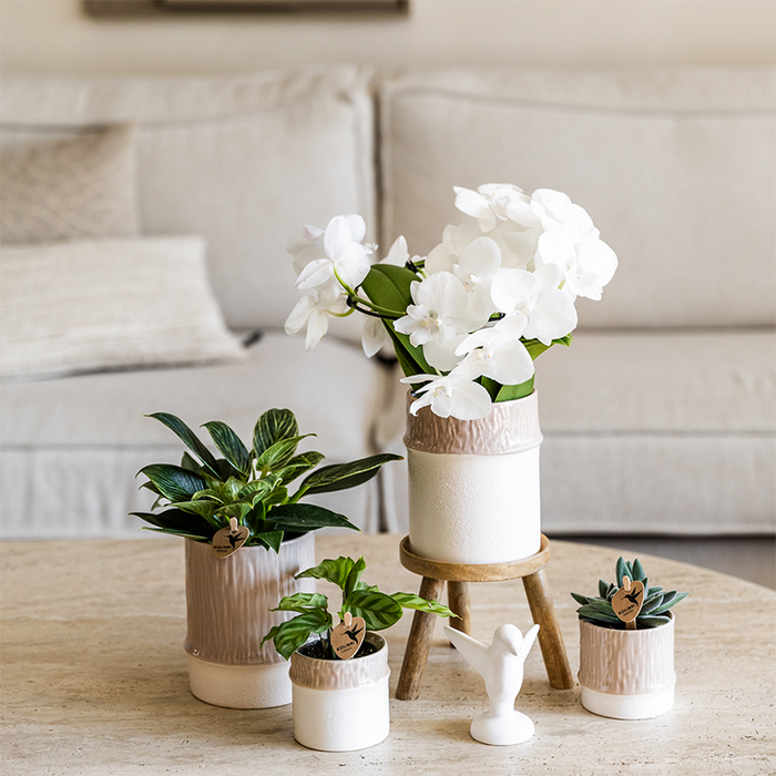 Kolibri Home | Tree sierpot - Sand - Ø6cm