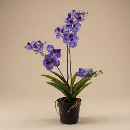 Artificial Vanda Orchid in pot - ↕60cm