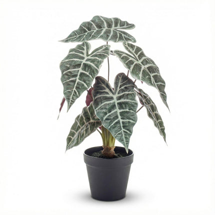 Artificial Alocasia bush plant in pot - ↕40cm