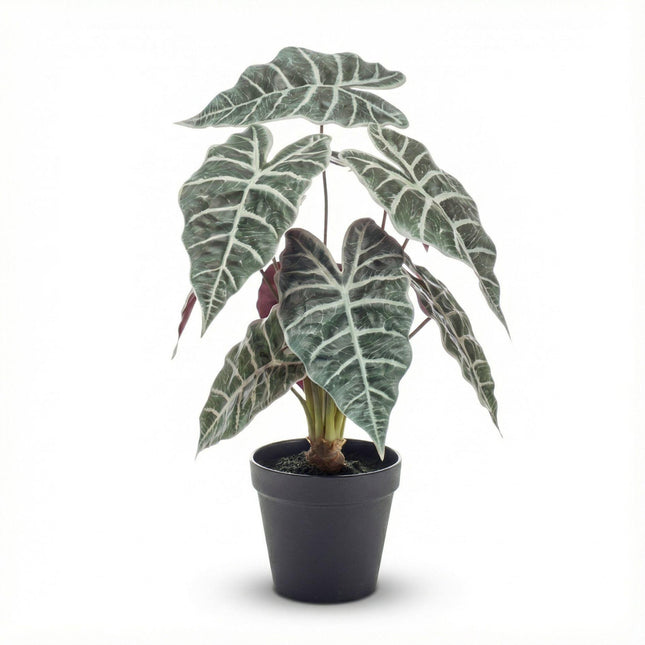 Kunstplant  Alocasia bush in pot - ↕40cm