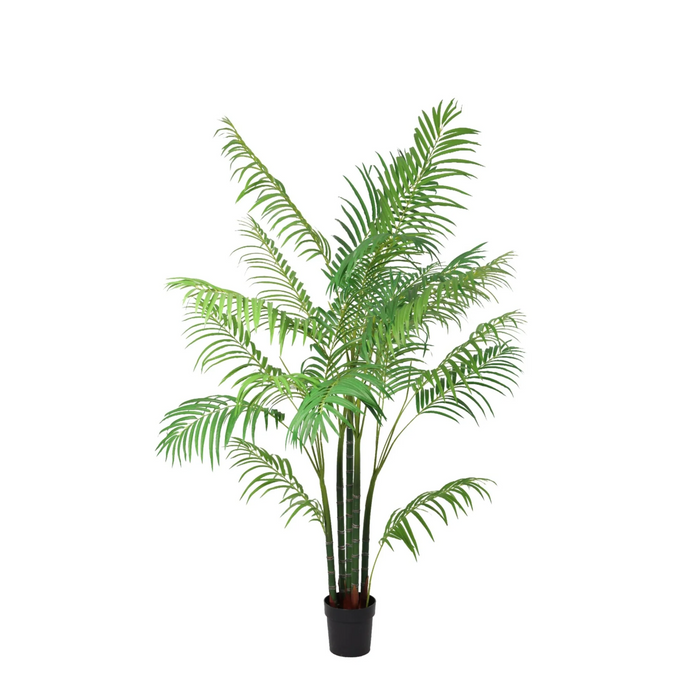 Kunstplant Areca Palm - ↕190cm