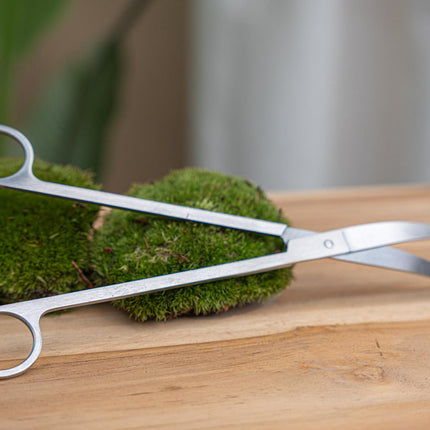 Ciseaux longs pour terrarium - Acier inoxydable - ↑ 25 cm