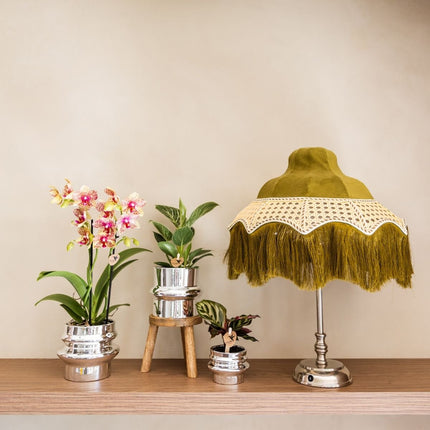 Kolibri Orchids | Combi Deal - 4 Oranje-Gele Phalaenopsis Orchideeën Mineral Grosseto - Ø9 cm