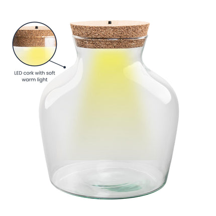 Terrarium fles met LED-verlichting - Gesloten terrarium - Little Joe - ↑ 22 cm - Ø20cm