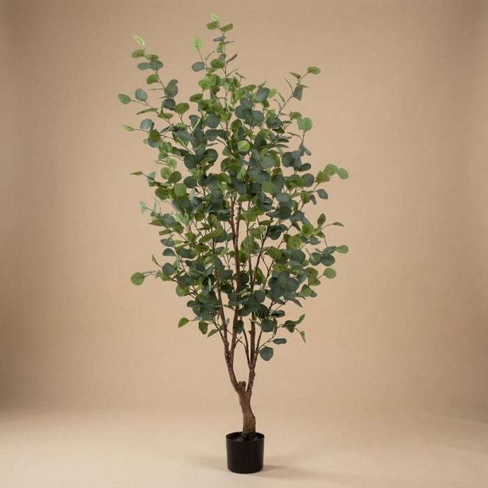 Plante artificielle - Eucalyptus - ↕140cm