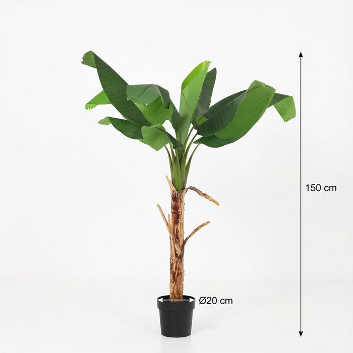 Kunstplant Bananenplant Musa - ↕150cm