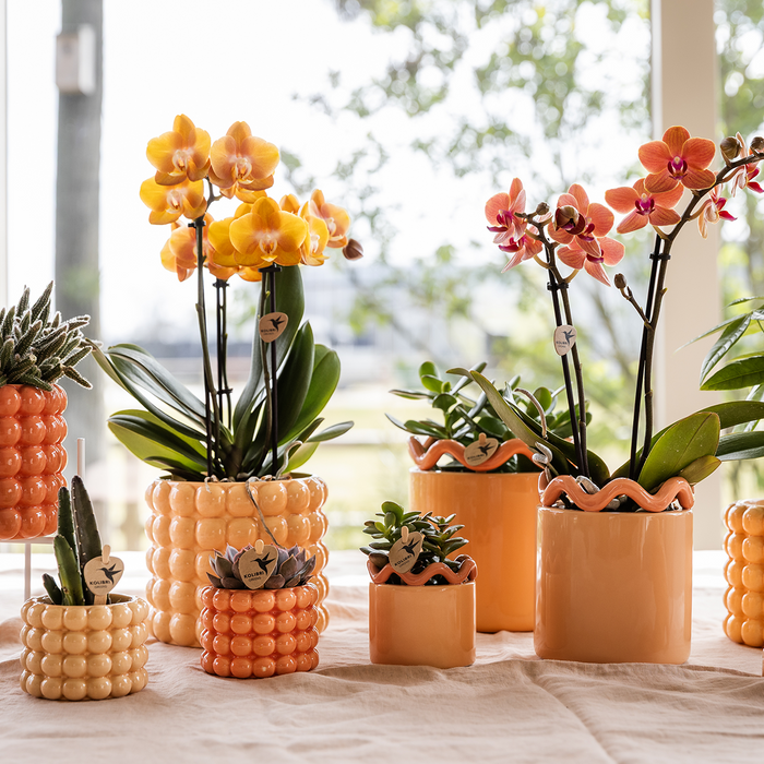 Kolibri Home | Poppy sierpot - Orange - Ø6cm