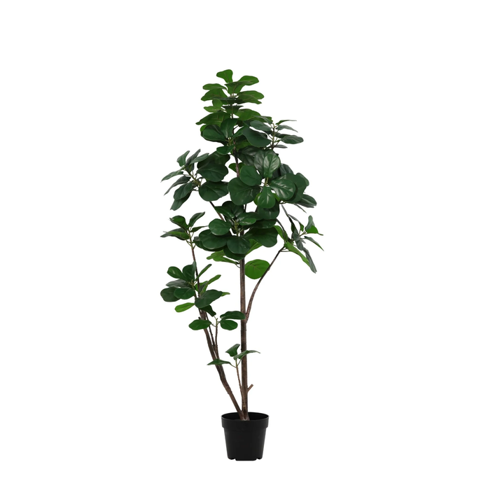 Kunstplant Ficus lyrata vertakt - ↕150cm